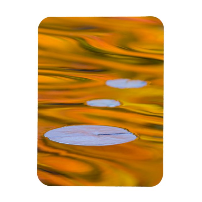 Imán Almohadilla en agua naranja, Canadá (Vertical)