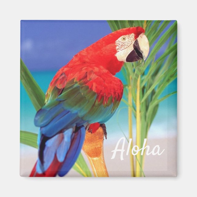 Imán Aloha Bird Magnet (Frente)