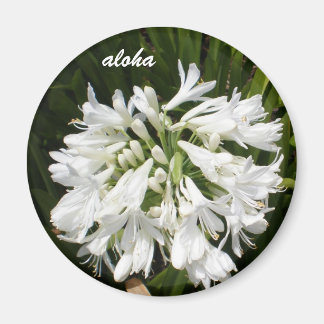 Imán aloha en flor blanca