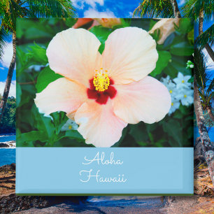 Imán Aloha Hawaii Color Flor del Estado Hibisco Melocot
