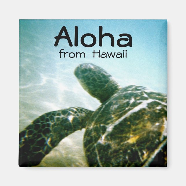 Imán Aloha Hawaii Sea Turtle (Frente)