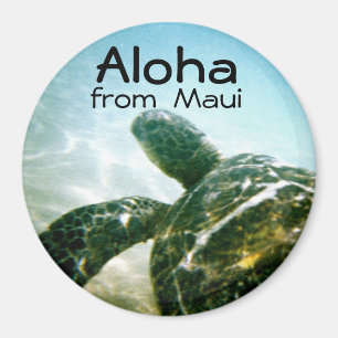 Imán Aloha Maui Sea Turtle