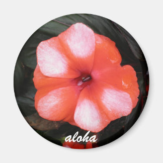 Imán aloha roja y blanca