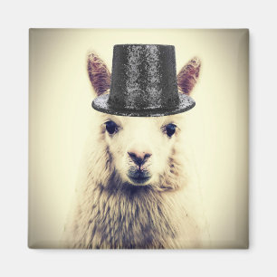 Imán Alpaca con sombrero de copa