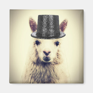 Imán Alpaca con sombrero de copa