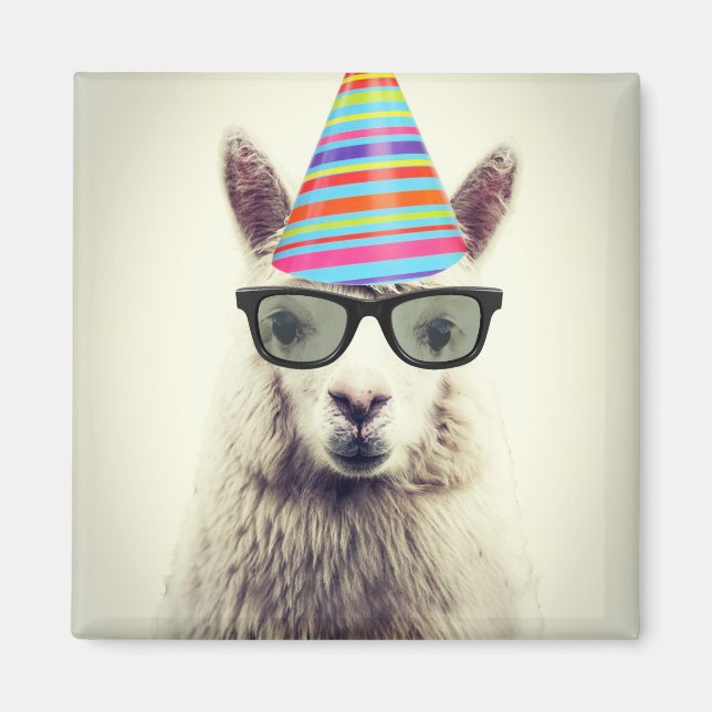 Imán Alpaca en gafas y Gorra Fiesta (Frente)
