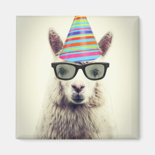 Imán Alpaca en vidrios y gorra del fiesta