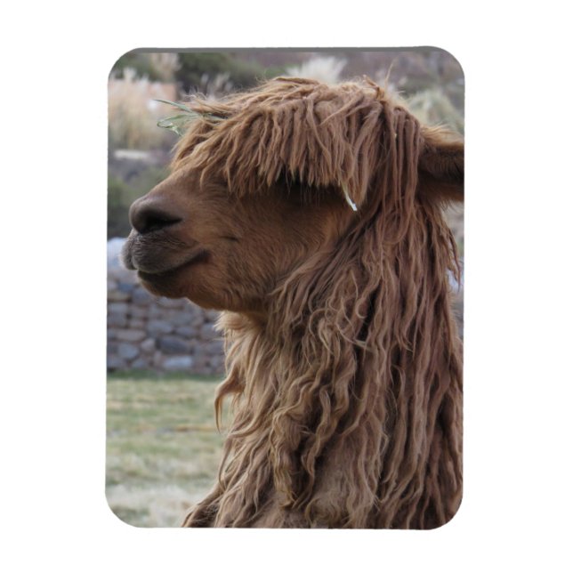 IMÁN ALPACA FLEXIBLE MAGNET (Vertical)