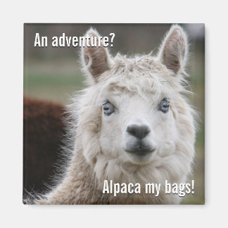 Imán Alpaca My Bags for Adventure Magnet