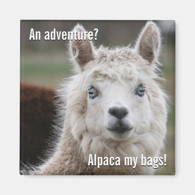 Imán Alpaca My Bags for Adventure Magnet (Frente)