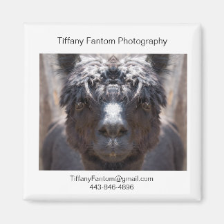 Imán Alpaca Promo Piece