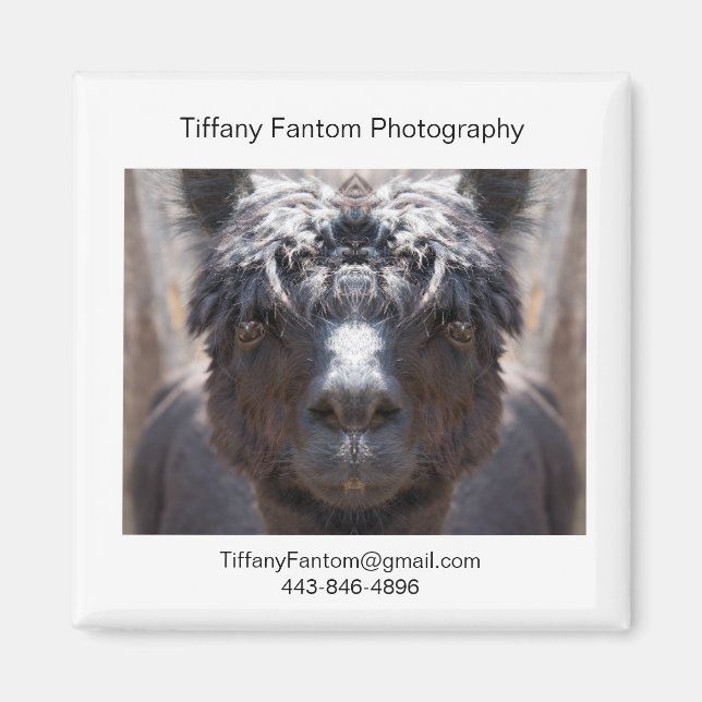 Imán Alpaca Promo Piece (Frente)