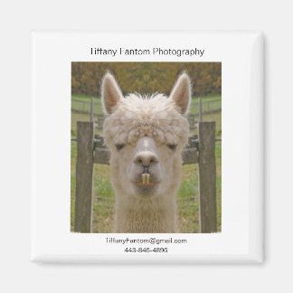 Imán Alpaca Promo Piece