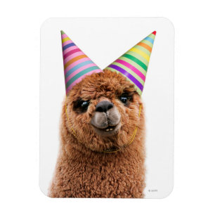 Imán Alpaca vistiendo Gorras Fiestas