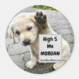 Imán Alta 5 MORGAN