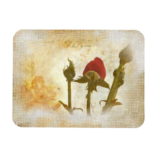 Imán Alte Rose (Horizontal)