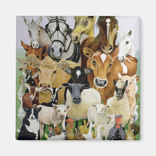 Imán Alteraciones animales (Frente)