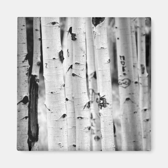 Imán alto Aspen (Frente)