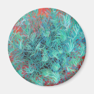 Imán Altos saberes del desierto