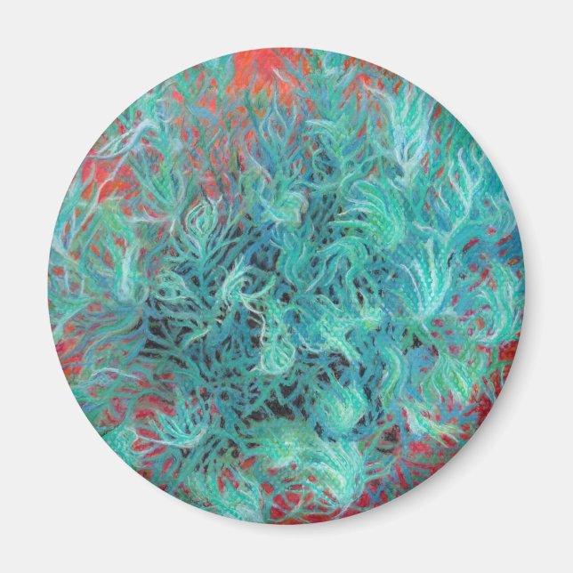 Imán Altos saberes del desierto (Frente)