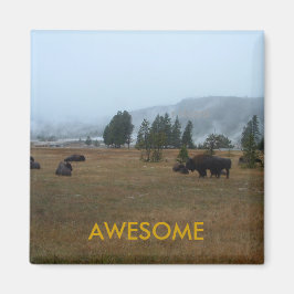 Imán alucinante de búfalo