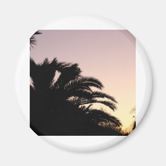 Imán Amanecer de árbol de palmas #2