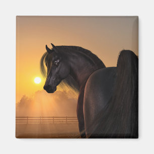 Imán Amanecer del caballo árabe