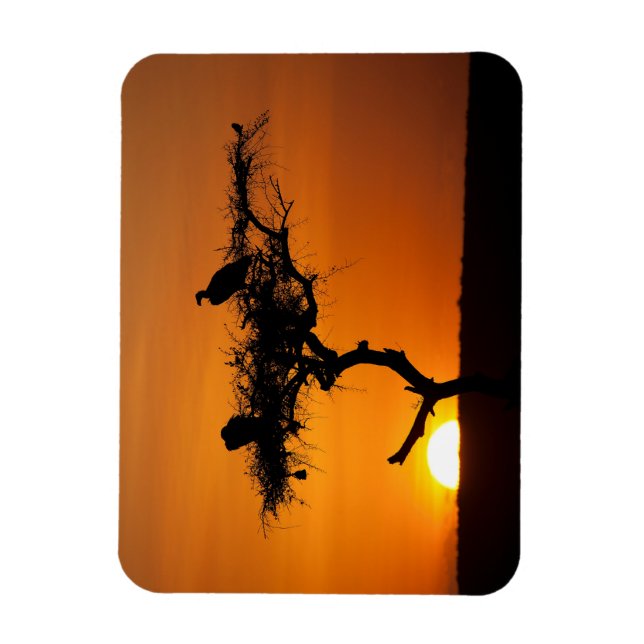 Imán Amanecer en Masai Mara, Kenia (Vertical)