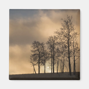Imán Amanecer en Nubes y Árboles
