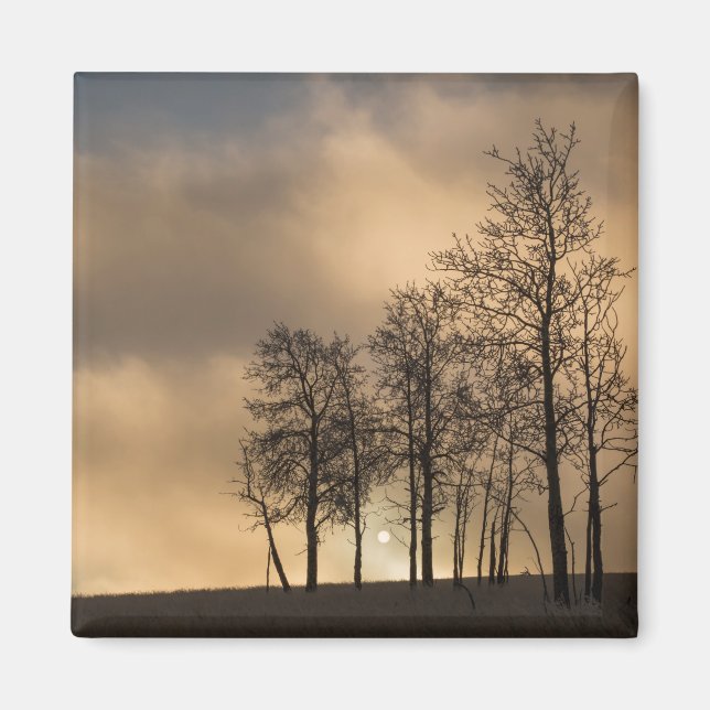 Imán Amanecer en Nubes y Árboles (Frente)