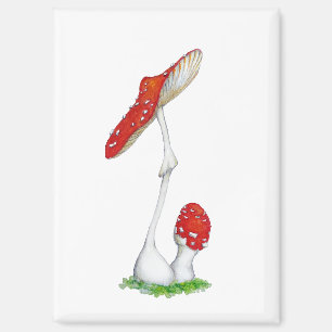 Imán Amanita muscaria