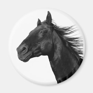 Imán Amante del Caballo Blanco Granja Ecuestre Western