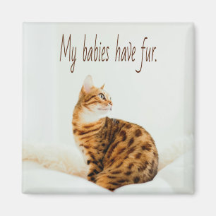 Imán Amante del gato, meme de gatitos, mis bebés tienen