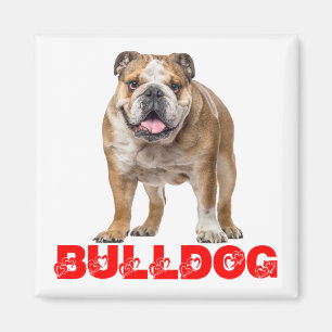 Imán Amante divertido del Bulldog, divertido cachorro d