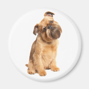 Imán Amantes de cachorros de Bruselas Griffon