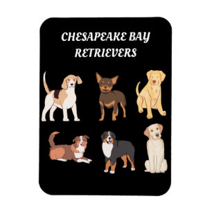 Imán Amantes de perros de Chesapeake, recuperadores per