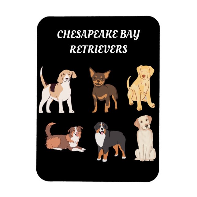 Imán Amantes de perros de Chesapeake, recuperadores per (Vertical)