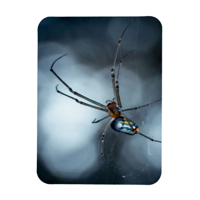 Imán Amantes de Spider | Araña De Belleza Con Webs (Vertical)