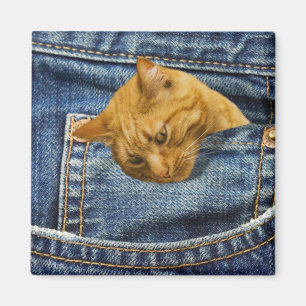 Imán Amantes del gato lindo Regalo de Keepsake