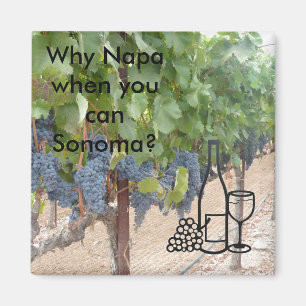 Imán Amantes del vino del valle de Sonoma