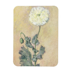 Imán Amapola blanca de Claude Monet el  , 1883