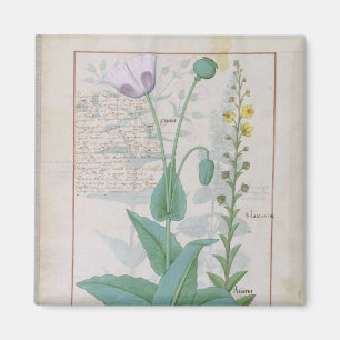 Imán Amapola y Figwort