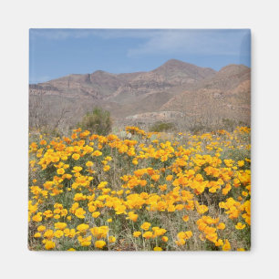 Imán Amapolas de El Paso