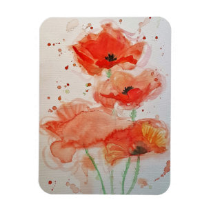 Imán Amapolas Rojas Brillantes Acuarela Floral Flores