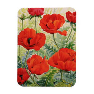 Imán Amapolas rojas grandes