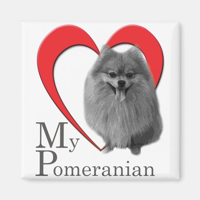 Imán Amar a mi Pomerania (Frente)