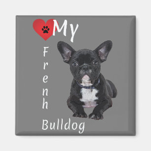 Imán Amar mi Bulldog francés