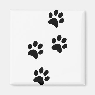 Imán Amar mis pastas