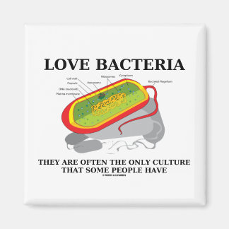 Imán Amar sólo la cultura de las bacterias algunas pers