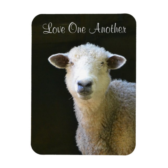 Imán Amar Una Oveja Otra (Vertical)